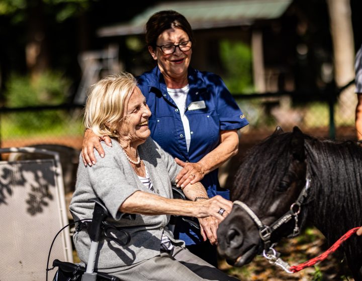 Golden years de negen linden paard en bewoonster